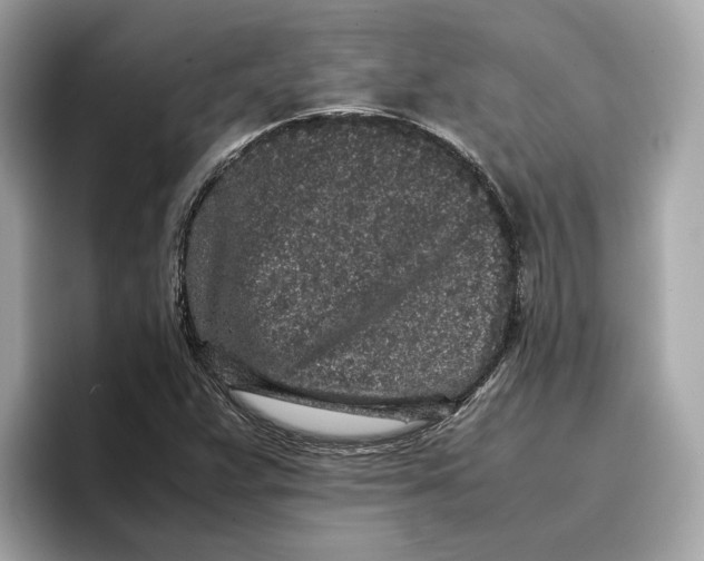 X0000096651359200802261311