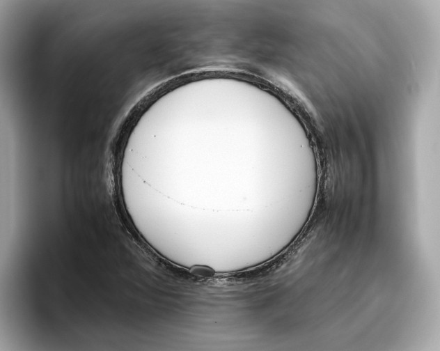 X0000096651360200802261311