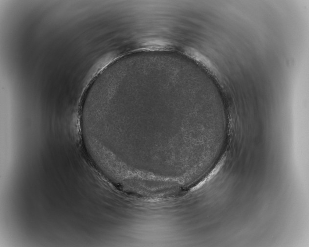 X0000096651362200802261311