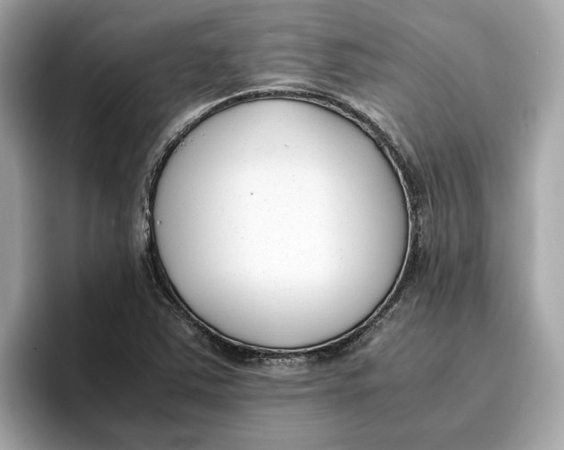 X0000096651363200802261311