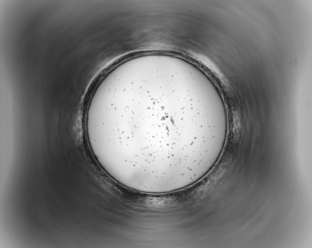 X0000096651364200802261311