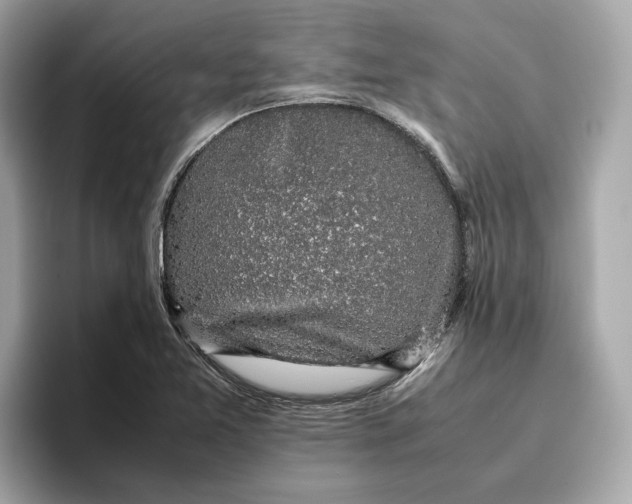 X0000096651365200802261311