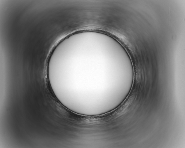 X0000096651366200802261311