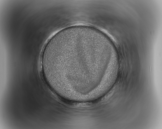 X0000096651367200802261311