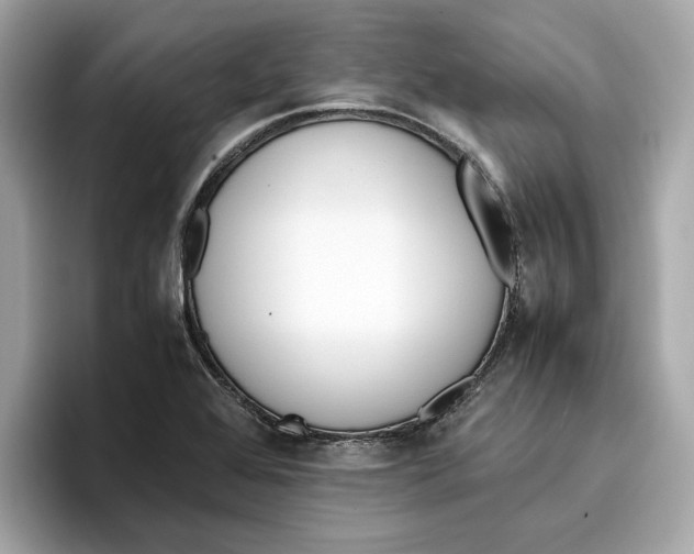 X0000096651368200802261311