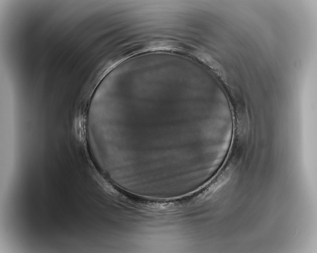 X0000096651369200802261311