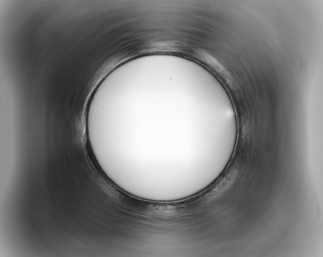 X0000096651370200802261311