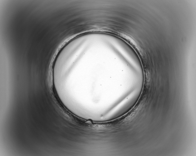 X0000096651371200802261311