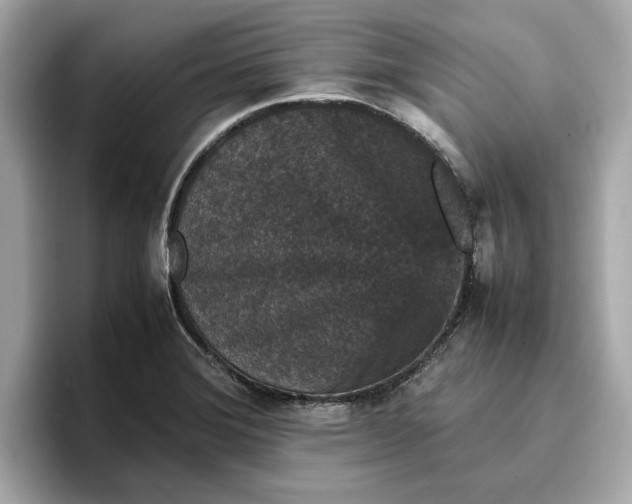 X0000096651372200802261311