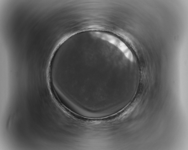 X0000096651373200802261311