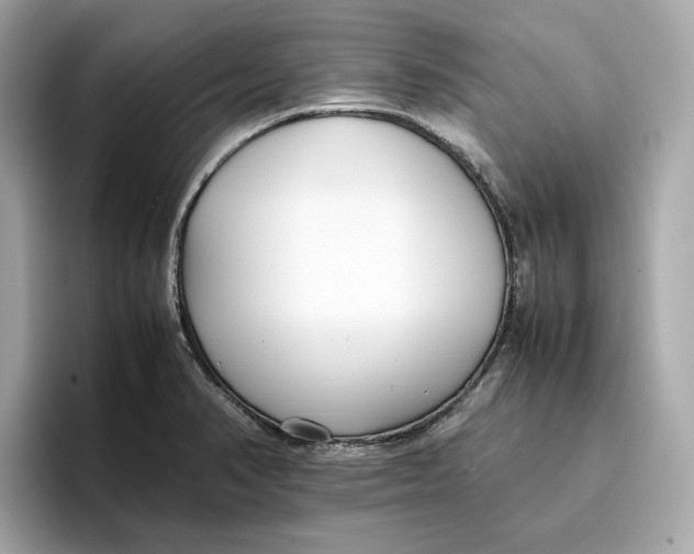 X0000096651374200802261311