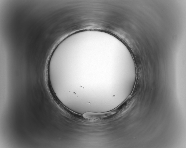 X0000096651375200802261311