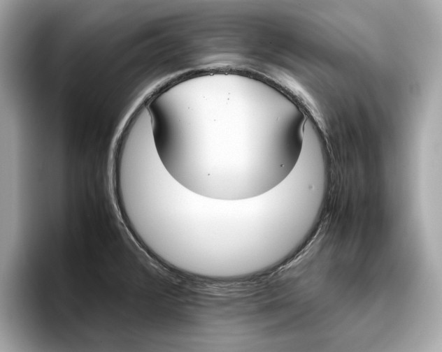 X0000096651376200802261311