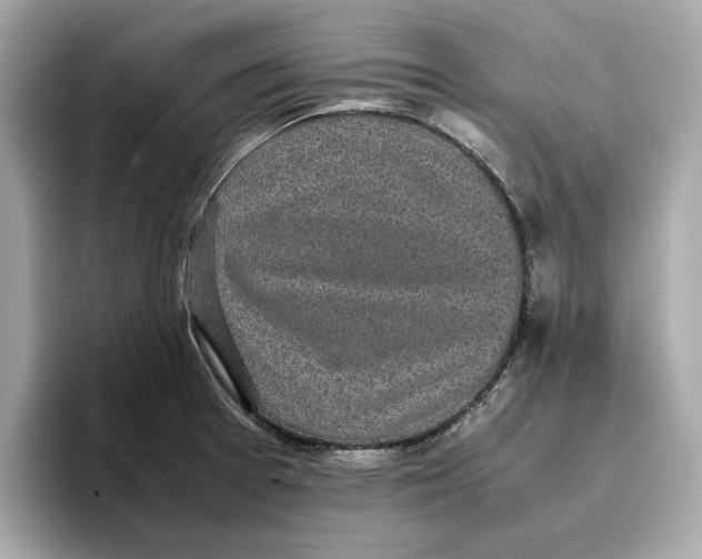 X0000096651377200802261311