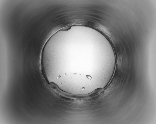 X0000096651378200802261311