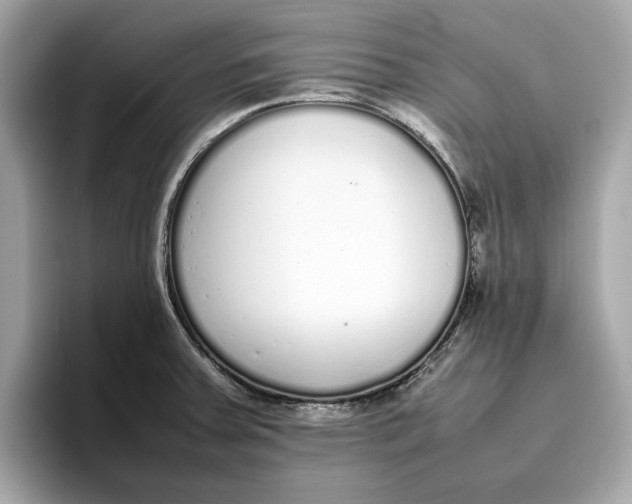 X0000096651379200802261311