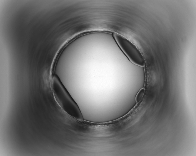 X0000096651380200802261311