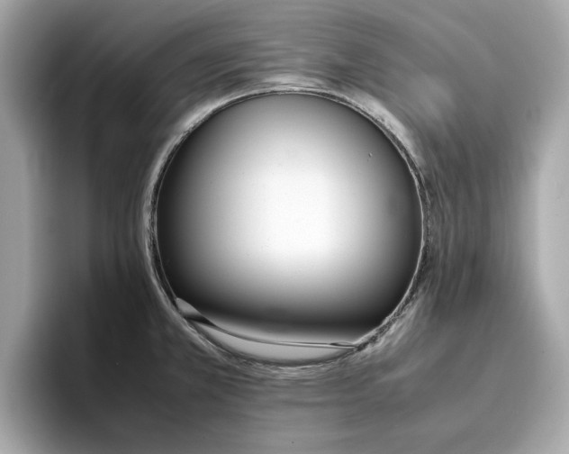 X0000096651381200802261311