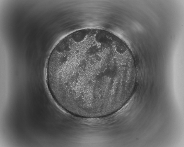 X0000096651383200802261311