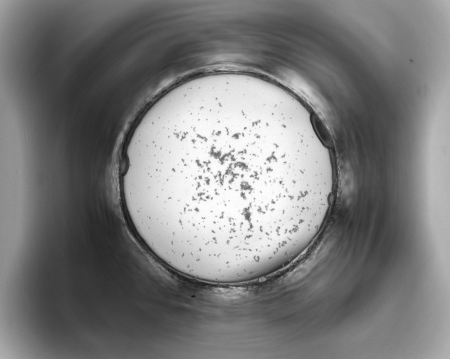 X0000096651384200802261311