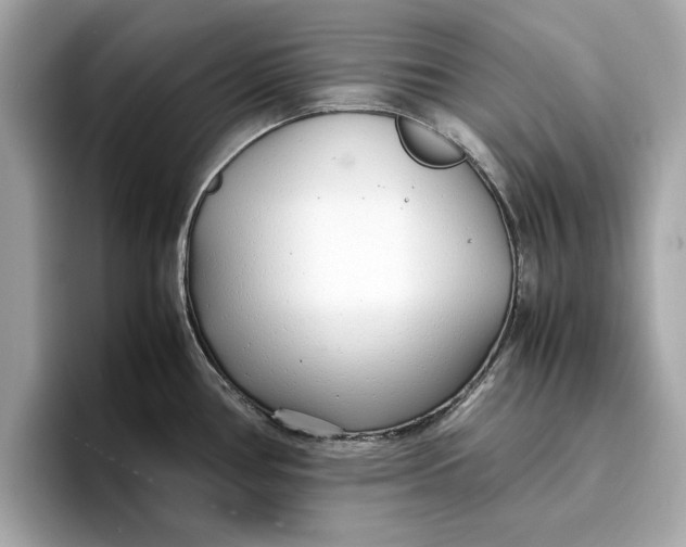 X0000096651386200802261311