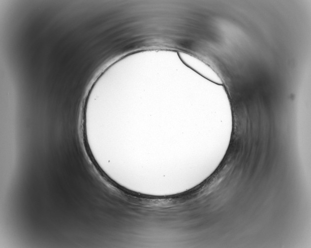 X0000096651387200802261311