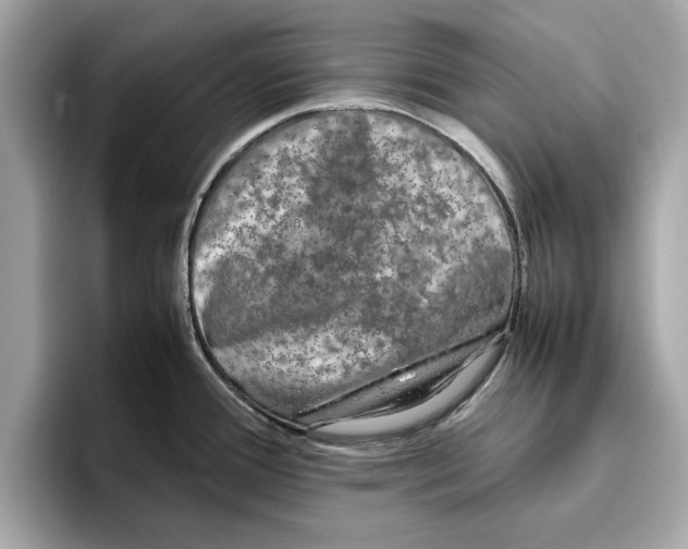 X0000096651388200802261311