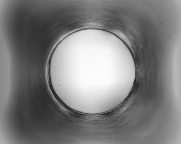 X0000096651391200802261311