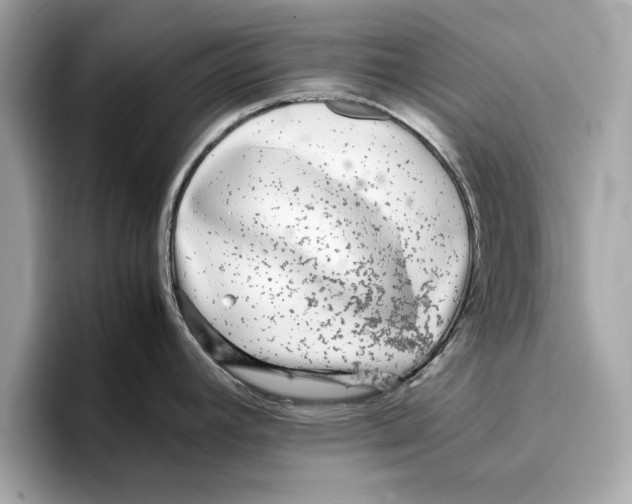 X0000096651392200802261311