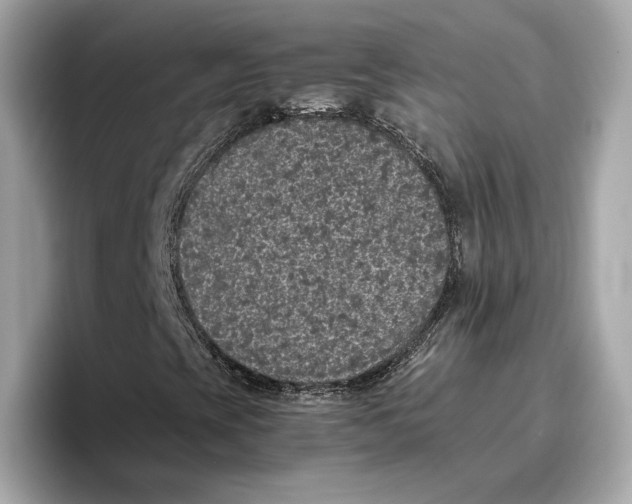 X0000096651393200802261310