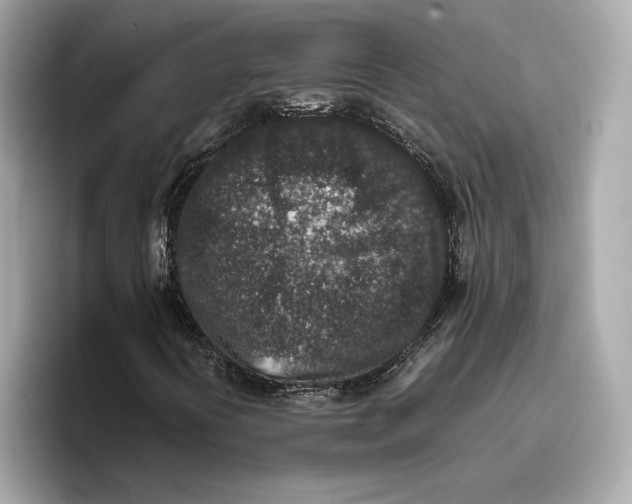 X0000096651394200802261310