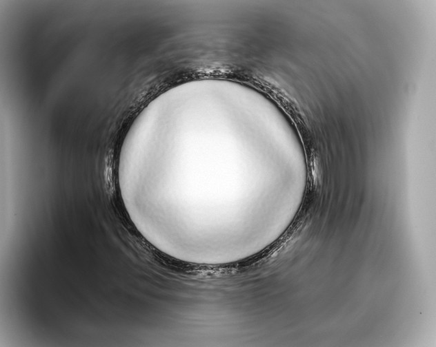 X0000096651396200802261310