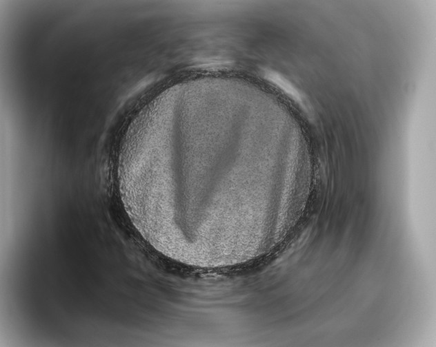 X0000096651398200802261310