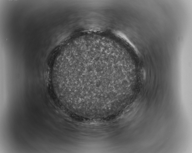 X0000096651399200802261310