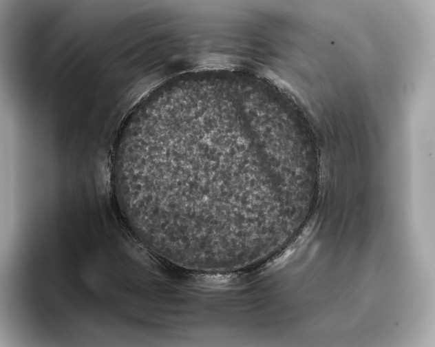 X0000096651401200802261310