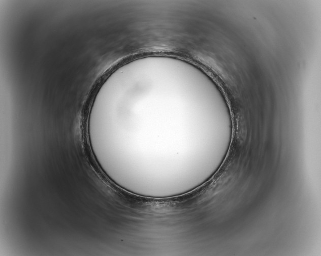 X0000096651404200802261310