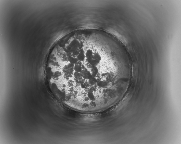 X0000096651405200802261310