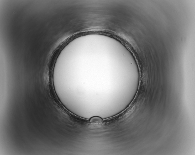 X0000096651406200802261310