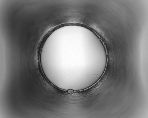 X0000096651408200802261310