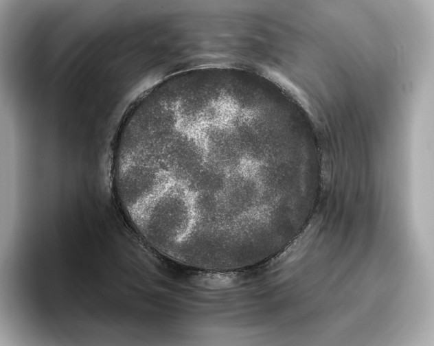 X0000096651411200802261310