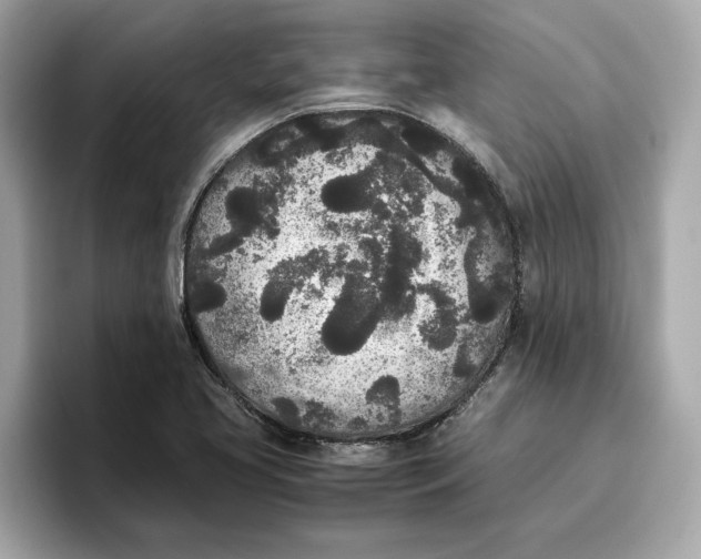 X0000096651413200802261310