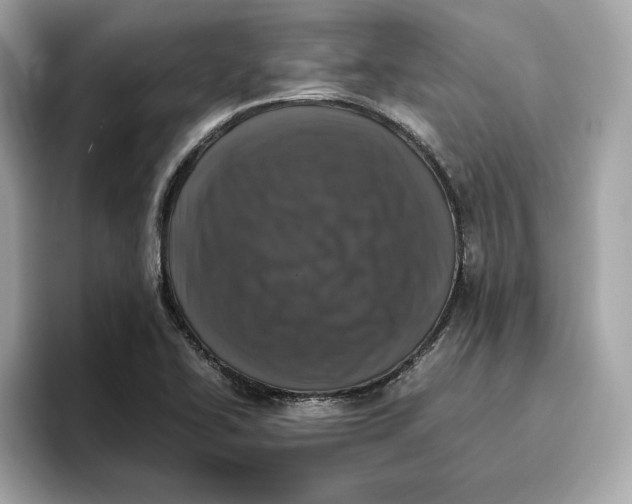 X0000096651414200802261310