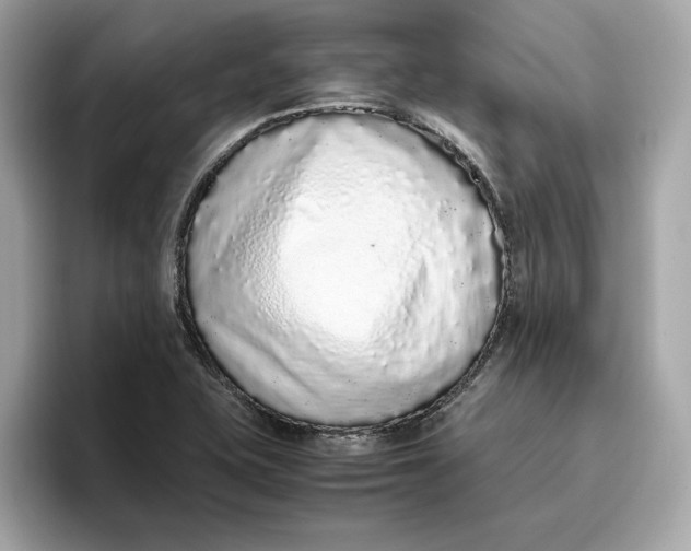 X0000096651415200802261310