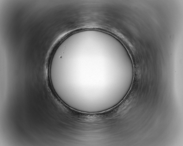 X0000096651416200802261310