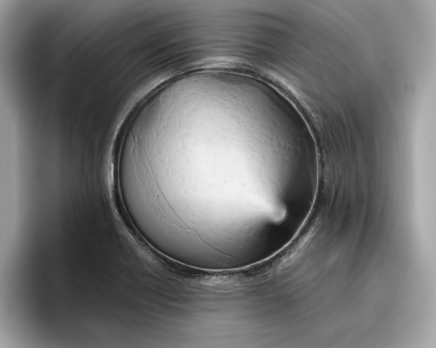 X0000096651418200802261310