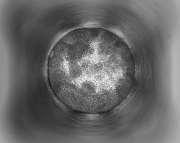 X0000096651421200802261310