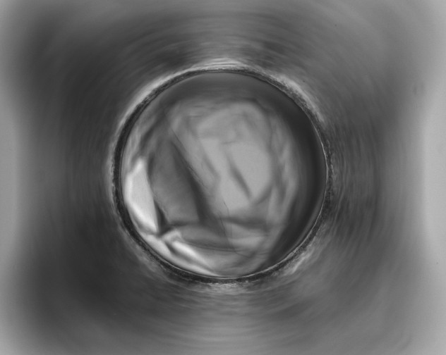 X0000096651422200802261310