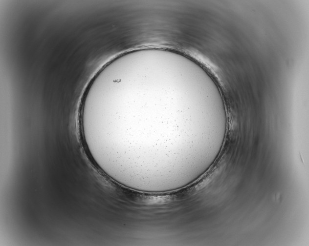 X0000096651423200802261310