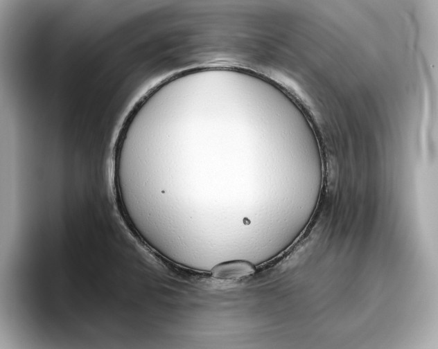 X0000096651424200802261310