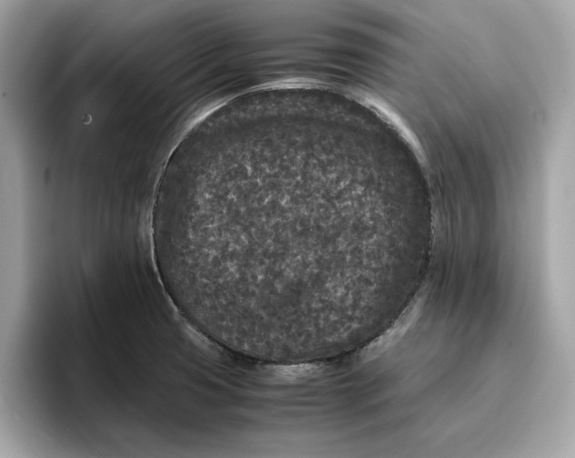 X0000096651425200802261310